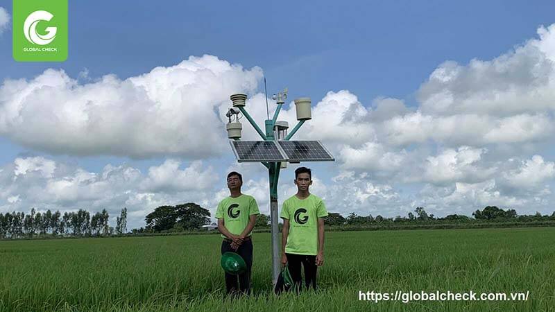 Nông nghiệp xanh: Chìa khóa cho tương lai bền vững