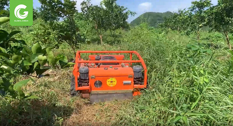 Dịch vụ cắt cỏ tại Bắc Giang 