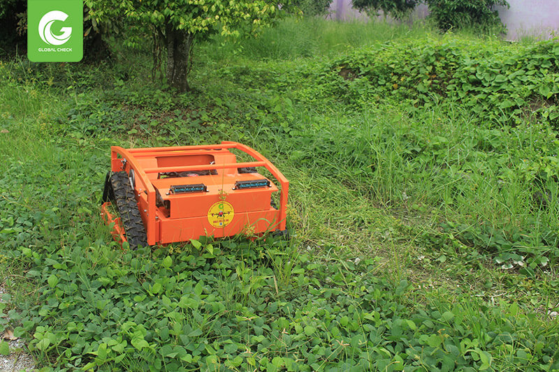 Máy cắt cỏ Tự động Đồng Nai
