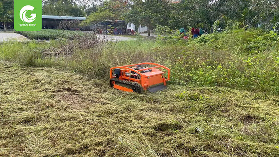 Máy cắt cỏ Bình Phước 