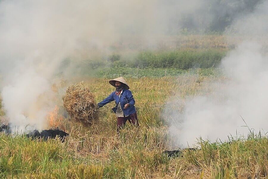 Nông nghiệp Việt Nam phát thải rất nhiều khí nhà kính