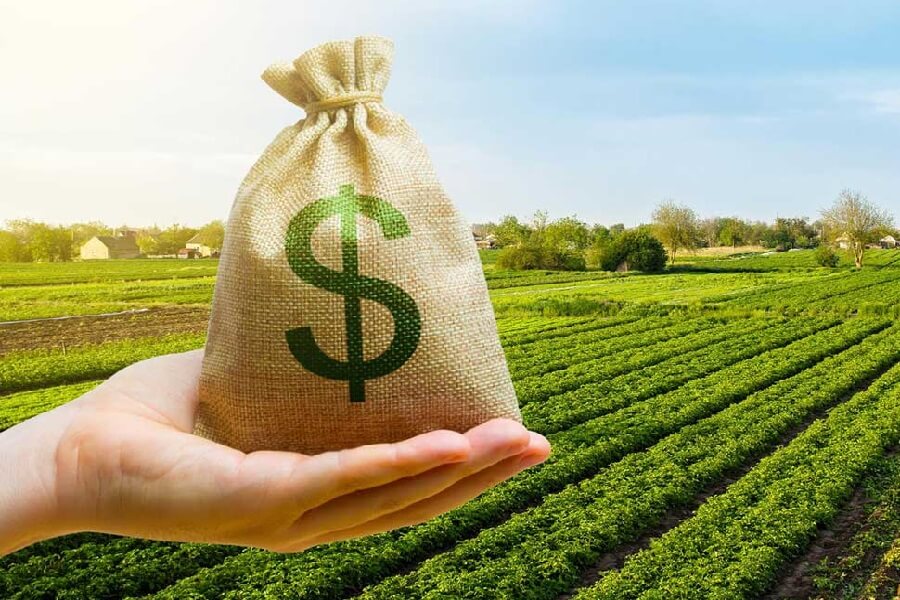 Kinh tế nông nghiệp giúp Bà con làm giàu trên chính mảnh đất quê hương