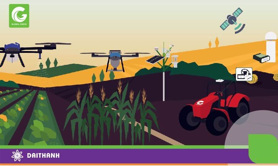Cánh đồng công nghệ liệu có là mô hình nông nghiệp tương lai ở Việt Nam