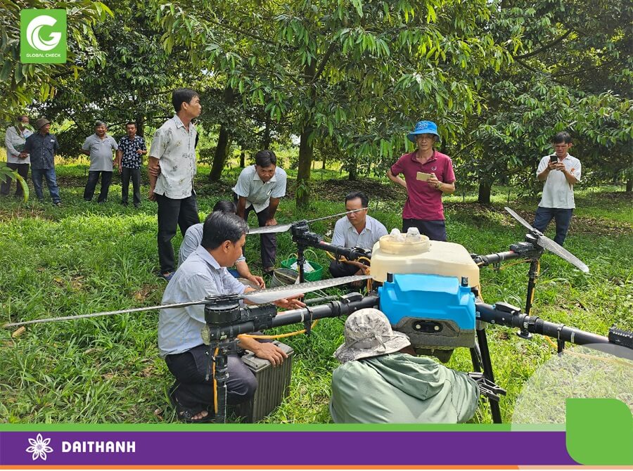 Sử dụng máy bay phun thuốc trừ sâu cho cây sầu riêng được lãnh đạo nông nghiệp quan tâm