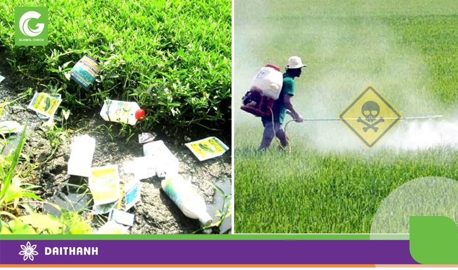 Phun thuốc thủ công không chỉ ảnh hưởng đến sức khỏe người phun mà còn ảnh hưởng đến môi trường