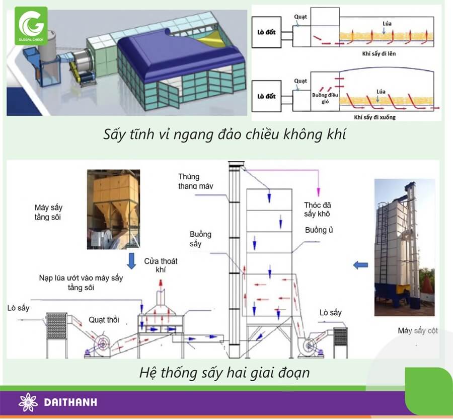 Đầu tư hệ thống sấy, bảo quản giúp giữ chất lượng và giảm thất thoát khi lưu khó