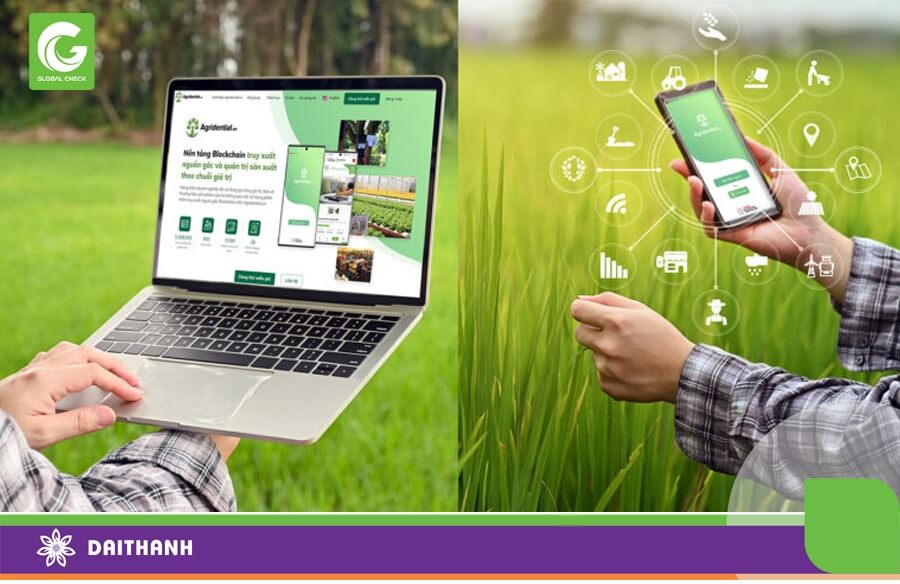 Truy xuất nguồn gốc cây trồng vai trò quan trọng hướng tới nông nghiệp giá trị cao