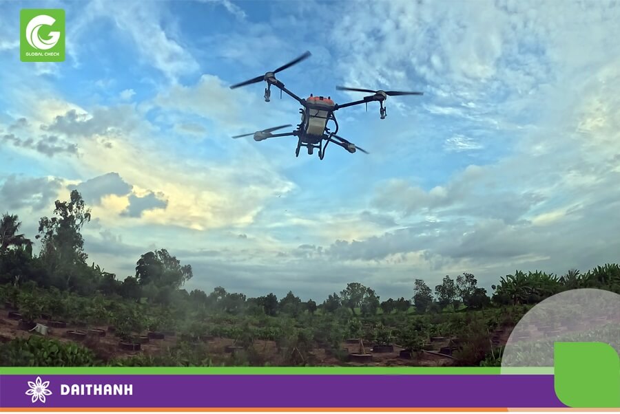 Chiếc G700 bay ở tầm thấp rất phù hợp cho cây lúa ở khu vực đồng bằng sông Cửu Long