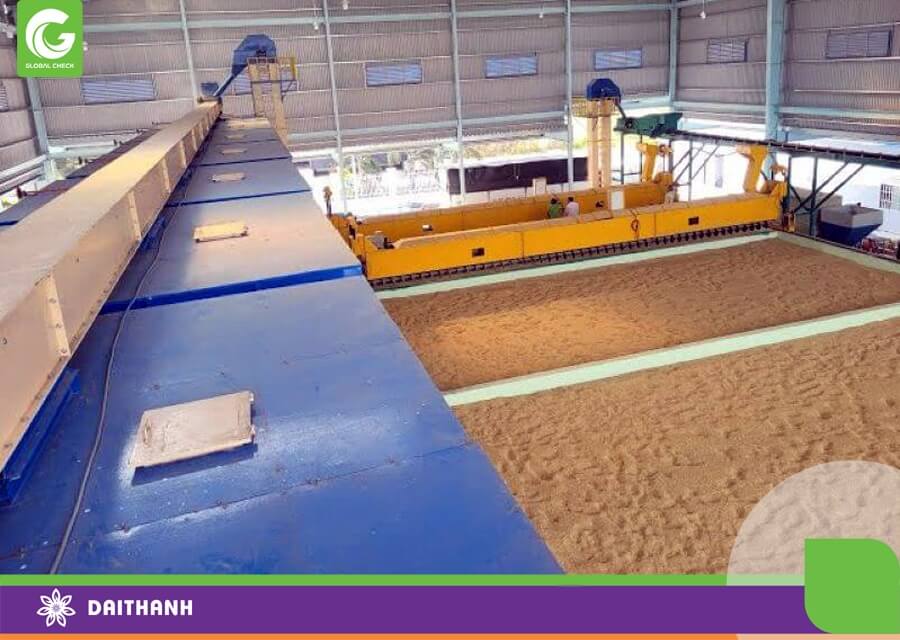 Nếu có thể bà con nên cùng nhau đầu tư hệ thống máy sấy