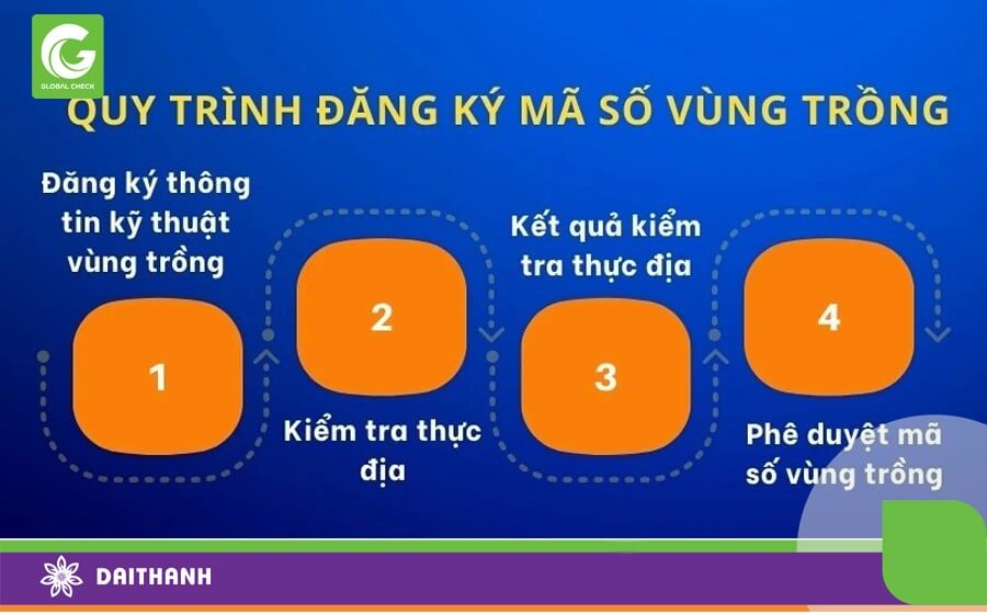Quy trình đăng ký mã số vùng trồng
