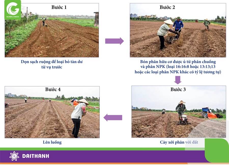 Kỹ thuật khử trùng đất bằng ánh sáng mặt trời