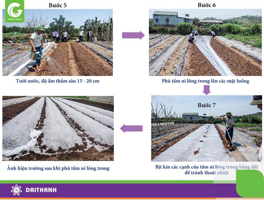 Kỹ thuật khử trùng đất bằng ánh sáng mặt trời