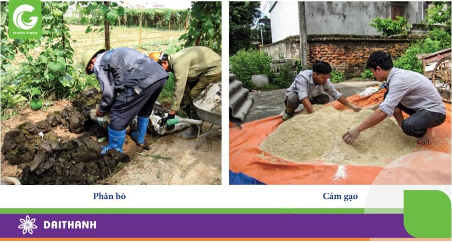 Phân bón hữu cơ hiếu khí mang lại giá trị kinh tế cao và bảo vệ môi trường