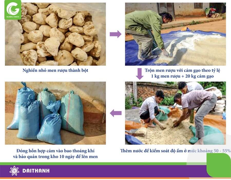 Sử dụng men rượu để lên men cám gạo