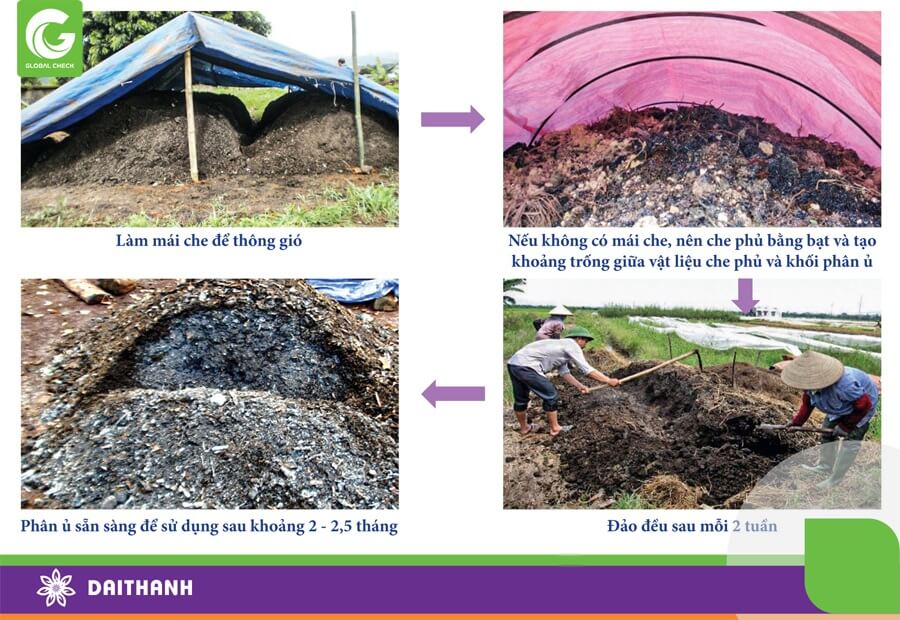 Quá trình ủ, lên men hiếu khí