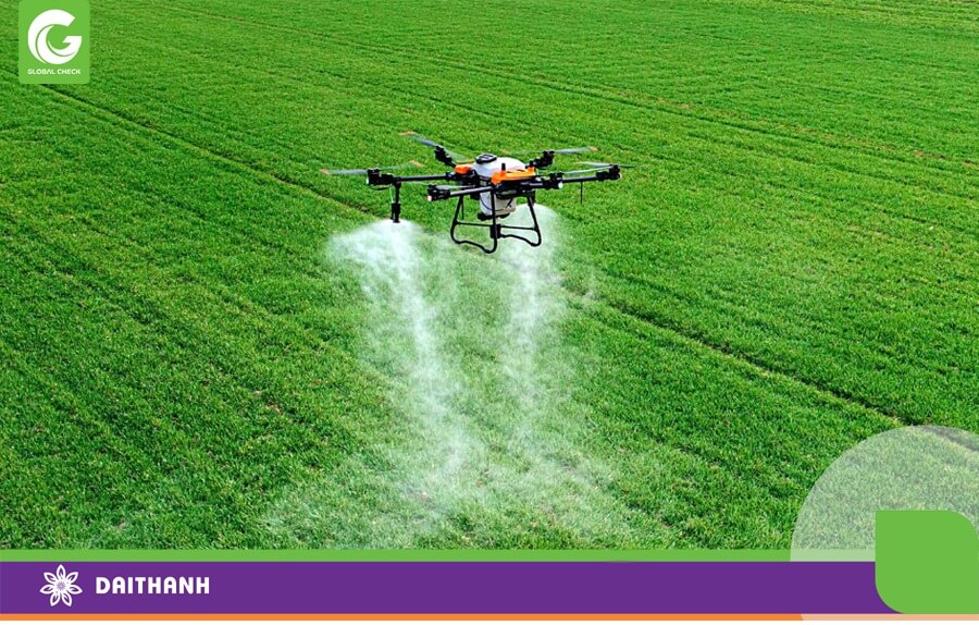 Diện tích lớn, địa hình bằng phẳng đặc biệt phù hợp với những chiếc drone nông nghiệp như 540s