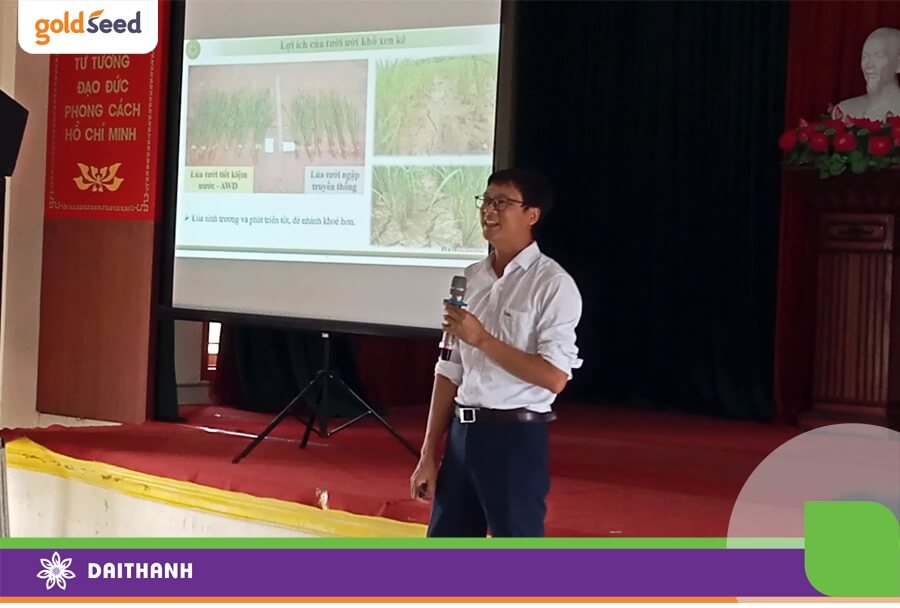 Theo Tiến sĩ Vũ Duy Hoàng tiết kiệm nước giúp cây lúa có bộ rễ khỏe và sáng