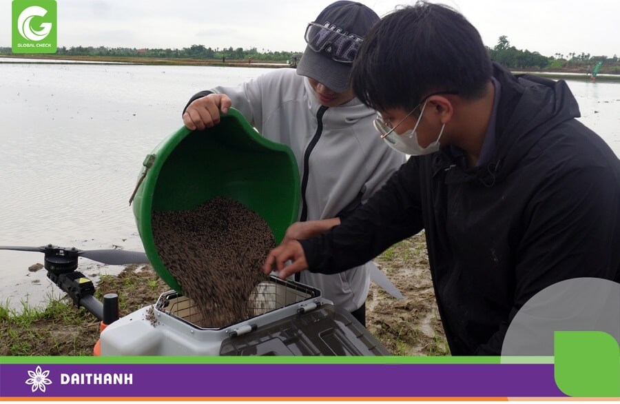 Trước khi làm việc cần hiệu chỉnh các thông số rải trước