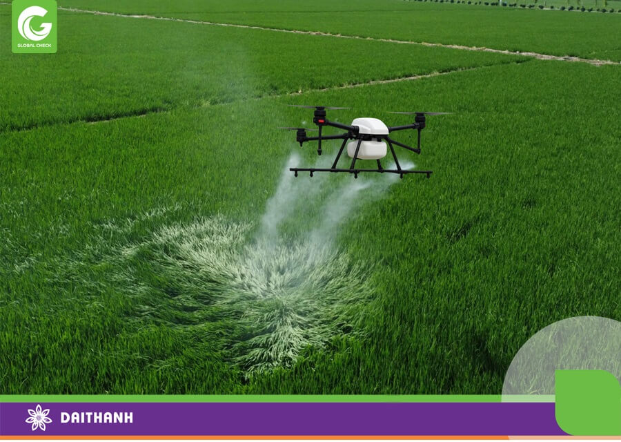 Sức gió chiếc máy bay nông nghiệp tạo ra là rất lớn