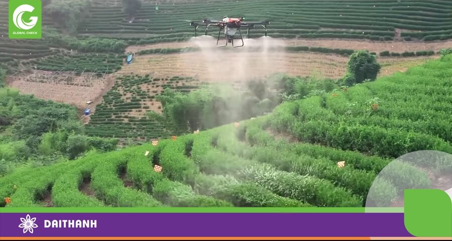 Địa hình phức tạp không chỉ phun thuốc khó khăn mà vận chuyển nông sản cũng vất vả