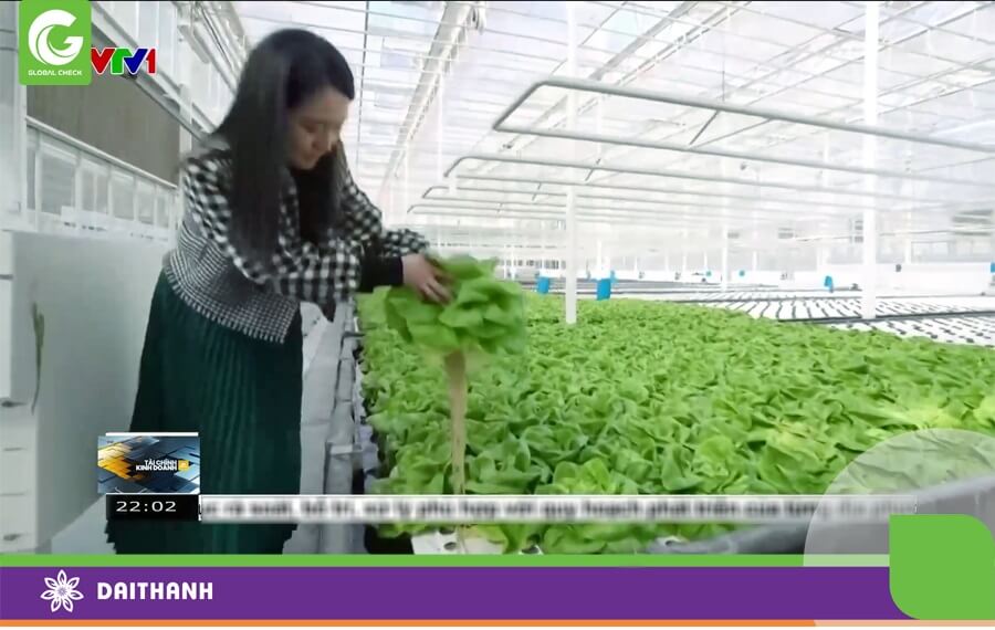 Vườn rau ứng dụng công nghệ AI ở Trung Quốc