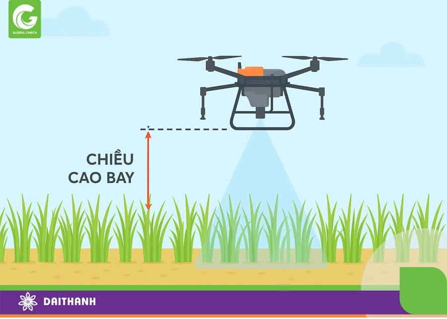 Chiều cao phun ảnh hưởng đến khả năng bám thuốc và lượng thuốc bay ra ngoài khu vực làm việc