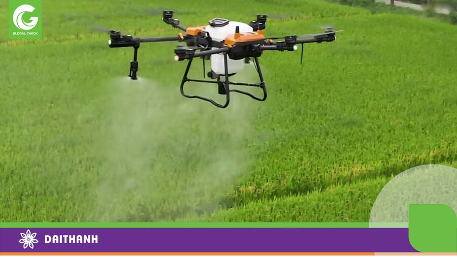 Chúng ta cần đảm bảo không bị hỏng lúa khi drone làm việc
