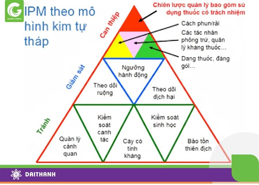Tháo mô hình quản lý dịch hại tổng hợp IPM