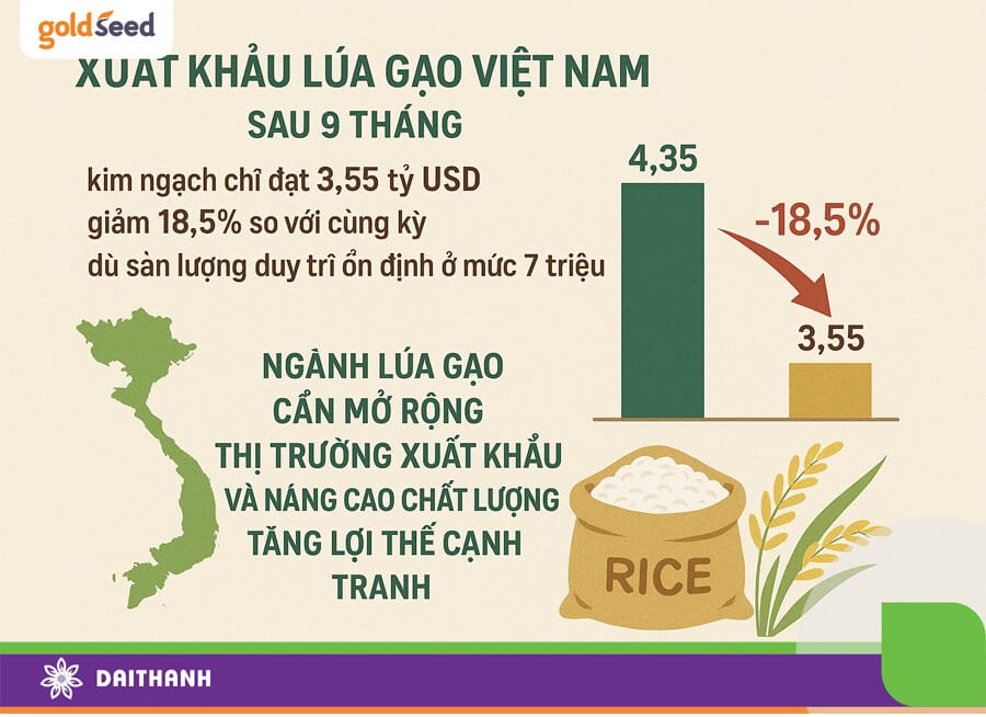 Giá trị xuất khẩu lúa gạo đã giảm mạnh ở quý 3/2025