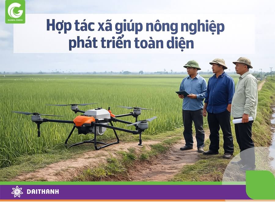 Hợp tác xã vai trò quan trọng thúc đẩy ứng dụng công nghệ sản xuất nông nghiệp trong đó có máy bay nông nghiệp