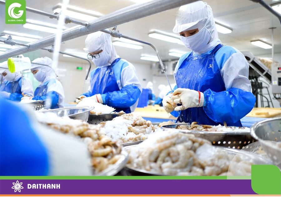 Chế biến tôm để xuất khẩu - Ảnh: TẤN LỰC