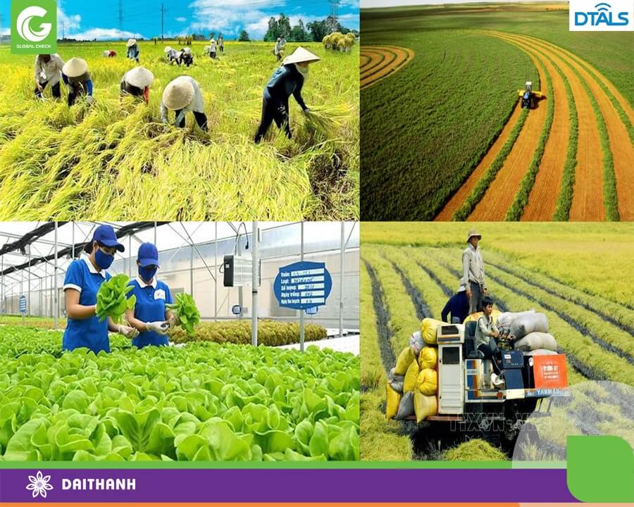 Nông nghiệp vẫn là trụ cột quan trọng giúp ổn định, duy trì thặng dư thương mại