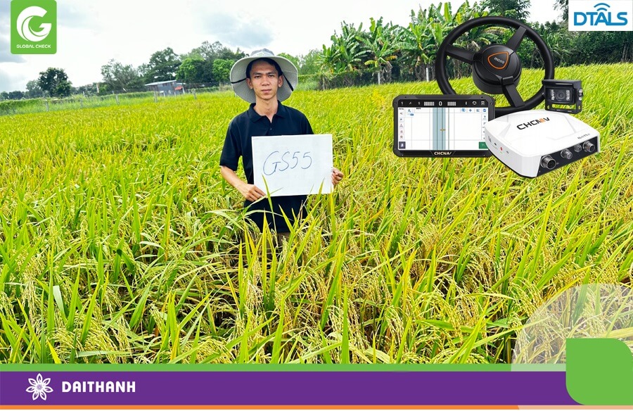 Cùng tìm hiểu NX510 giúp nâng cao chất lượng lúa gạo như thế nào?