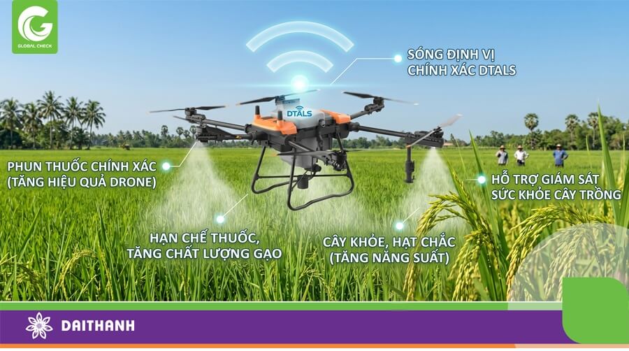 Drone 540s và sóng DTALS mang lại lợi ích cực lớn cho cây lúa