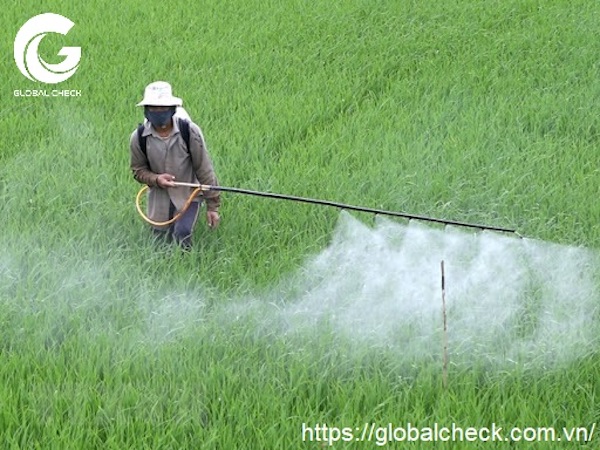 Máy phun thuốc trừ sâu cũng chưa được cải thiện nhiều trong việc giúp người nông dân hạn chế tiếp xúc với hóa chất