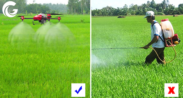 Máy bay phun thuốc giúp người nông dân tránh xa hóa chất độc hại từ thuốc trừ sâu