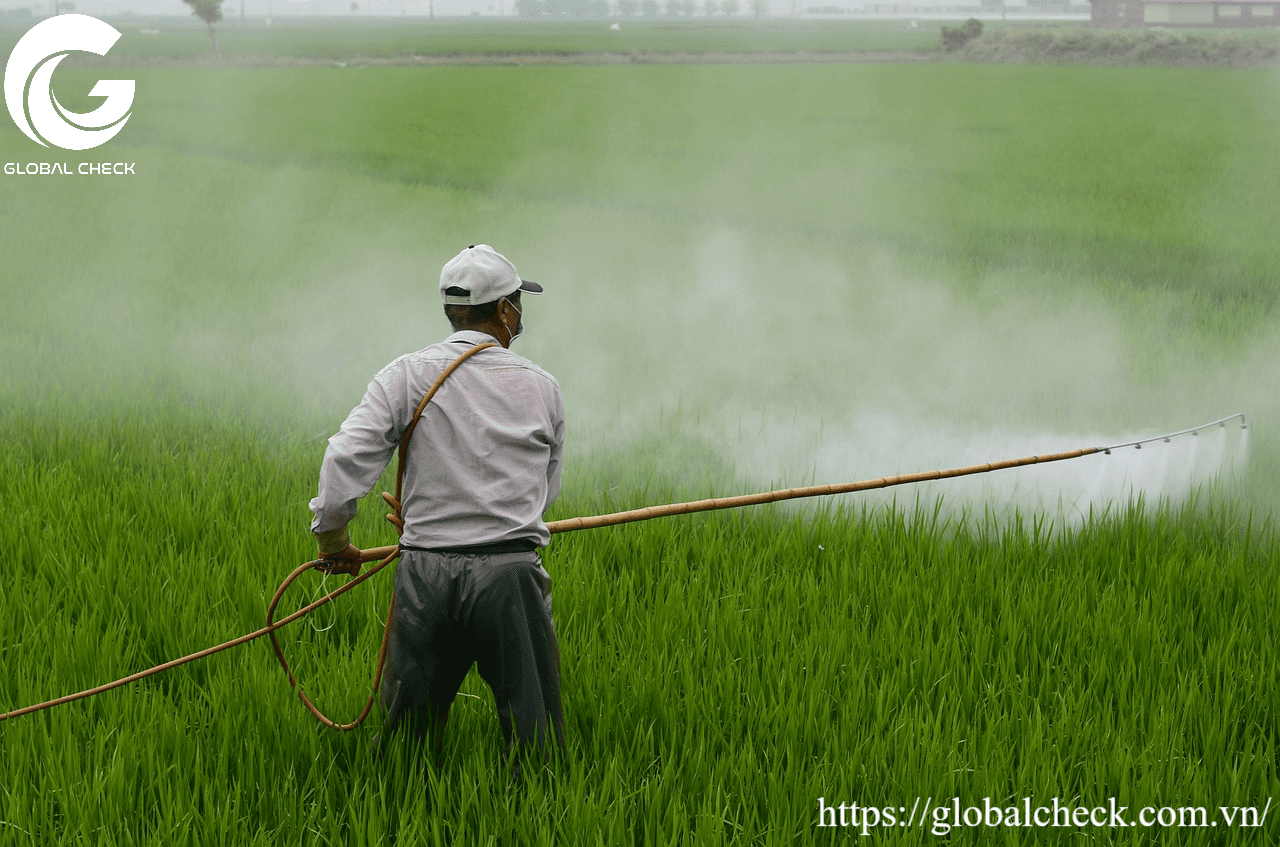 Ô nhiễm đất nông nghiệp đe dọa hệ sinh thái nông nghiệp O-nhiem-dat-nong-nghiep-hoat-dong-nong-nghiep-p