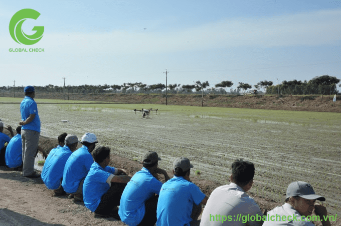 drone phun thuốc trừ sâu hiệu quả cao