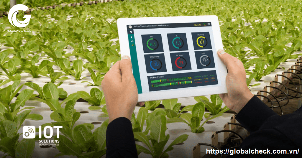 ứng dụng mô hình IoT trong nông nghiệp chính xác
